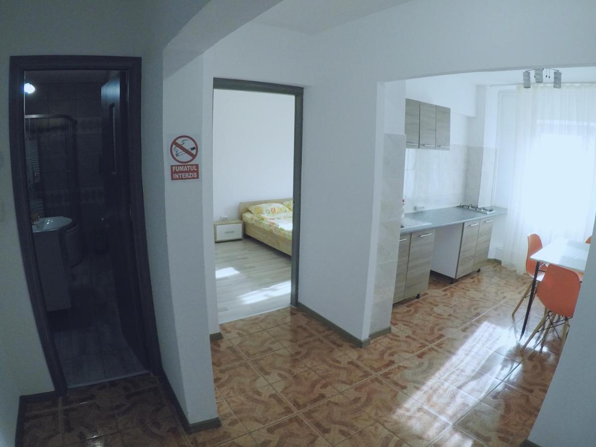 Ama Apartment Mountain View & Parking 布拉索夫 外观 照片